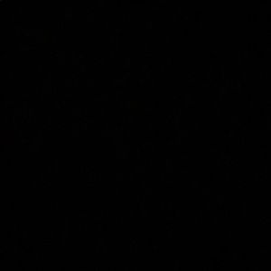 Meet your Posher, Zach